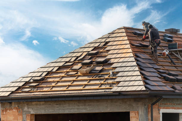 Best Roof Moss and Algae Removal  in St Ansgar, IA